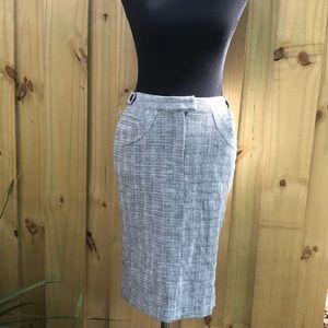H&M Lined Skirt